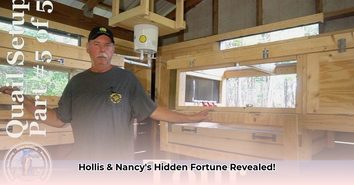 hollis-and-nancy-homestead-net-worth